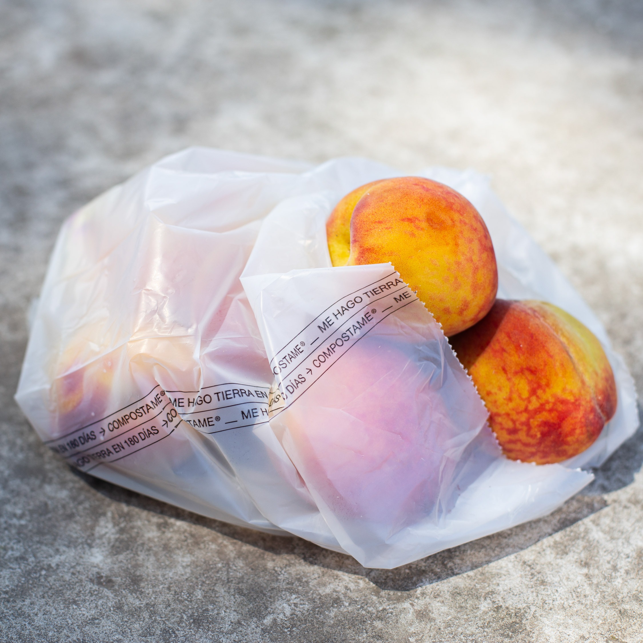 Copia de Export Productos_COMPOSTAME 2024-06